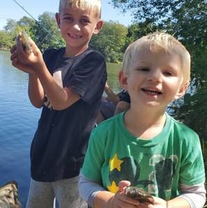 Meet your Posher, Harry